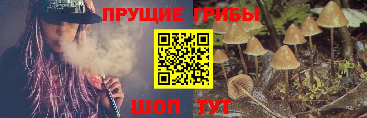 Галлюциногенные грибы ЛСД  Вход с VPN  Зеленокумск 